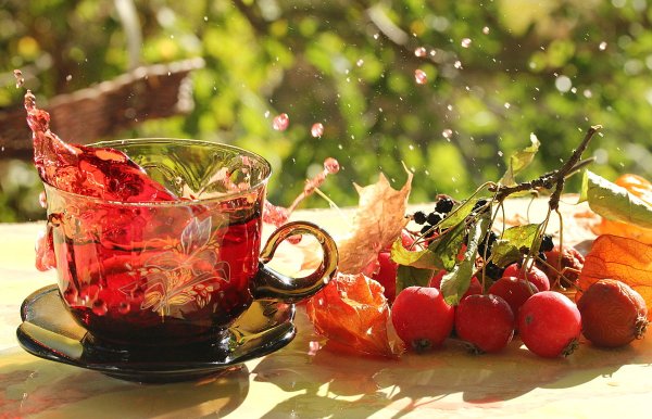 Доброе осеннее утро