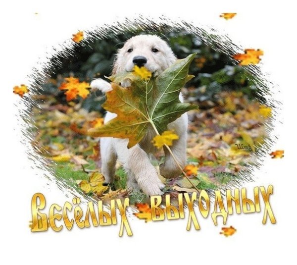 Хороших осенних выходных