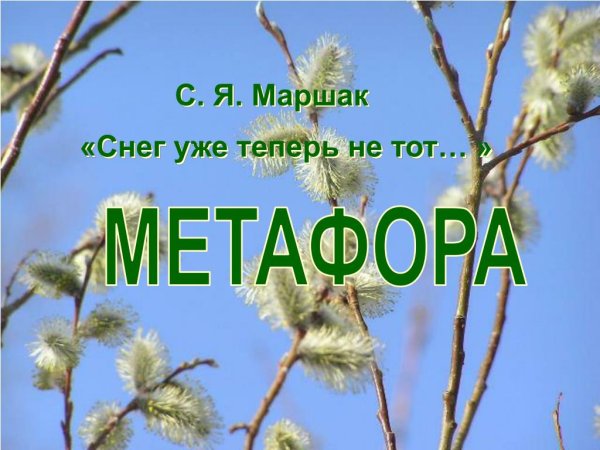 Снег уже теперь не тот Маршак