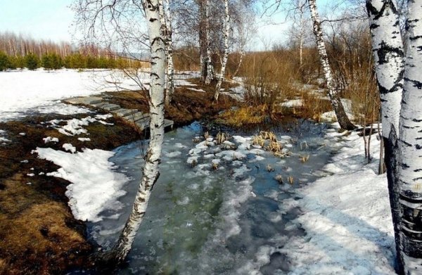 Зима перед весной