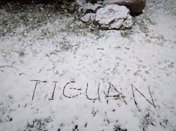 Первый снег весело