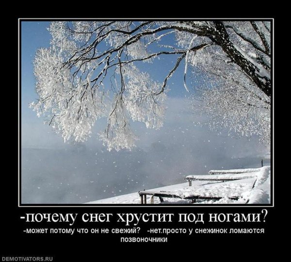 Приколы про снег