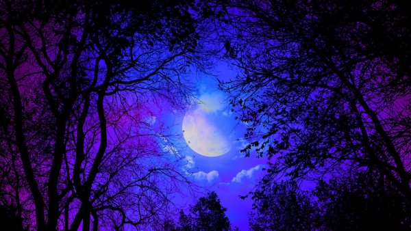 Фиолетовая ночь