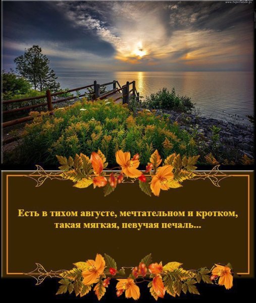 Доброго августовского вечера