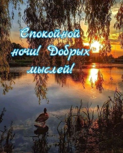 Спокойной ночи храни вас Бог