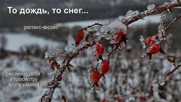 Доброе дождливое зимнее утро