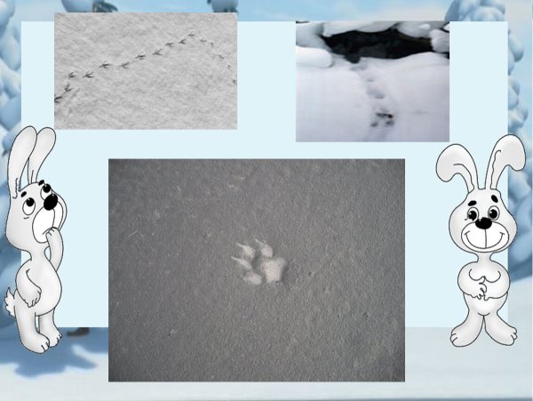 Зайкины следы на снегу