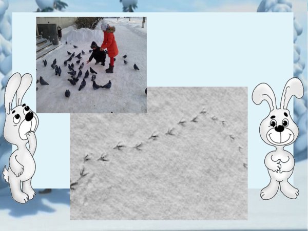 Следы на снегу презентация