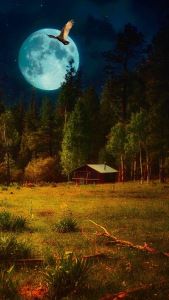 Космос и планеты вертикальные