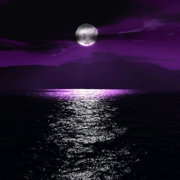 Лунная ночь над лесом