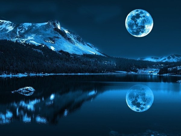 Живая Планета