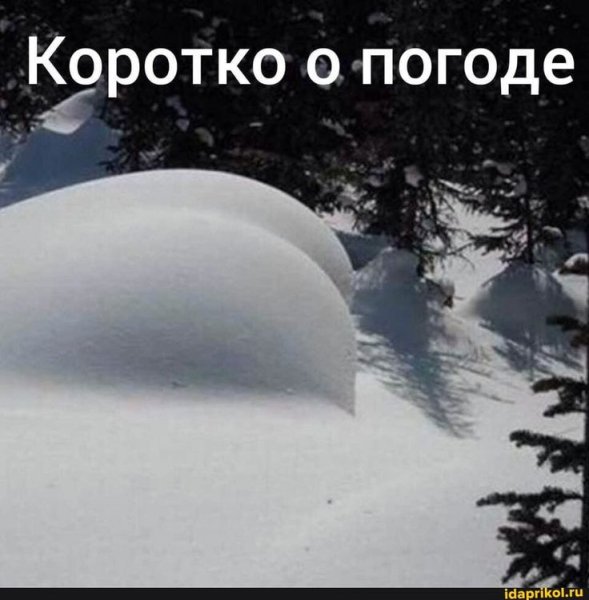 Коротко о погоде прикол