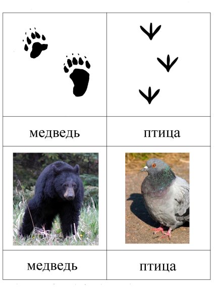 Следы животных