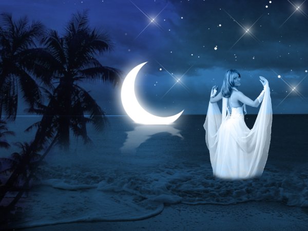 Волшебная ночь