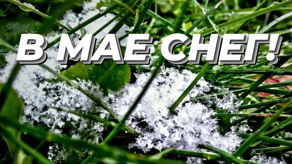 Снег в мае