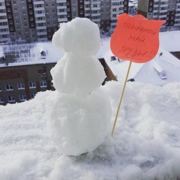 Снегопад в Сибири