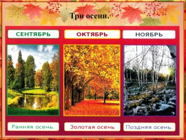 Осенние месяцы