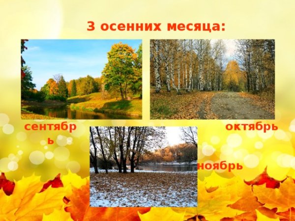 Осенние месяцы