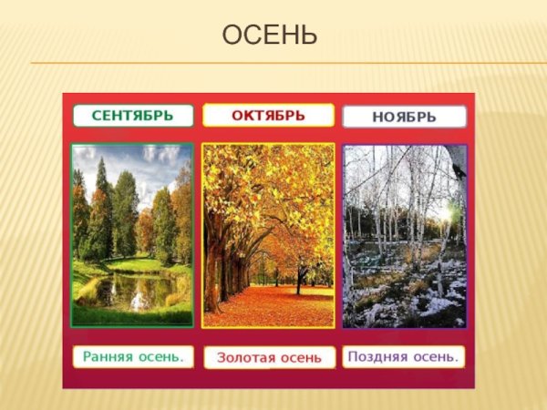 Осенние месяцы