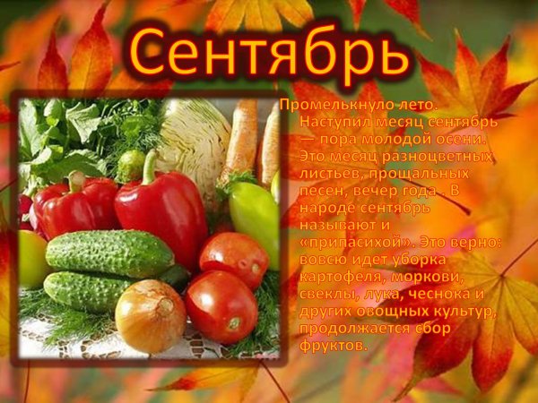 Сентябрь месяц