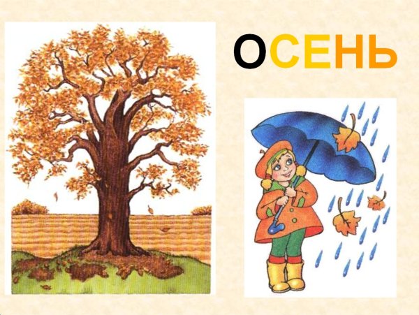 Признаки осени для дошкольников
