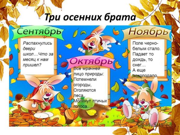 Осенние месяцы