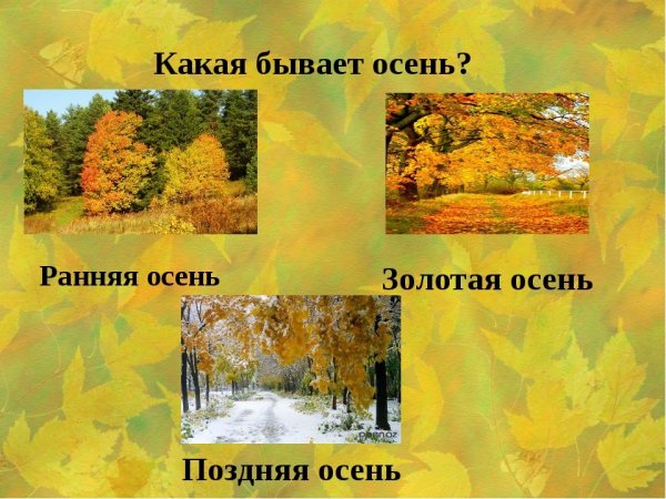 Поздняя осень для дошкольников