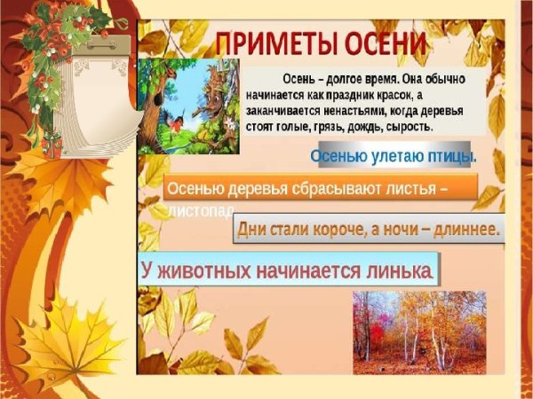 Календарь природы осень