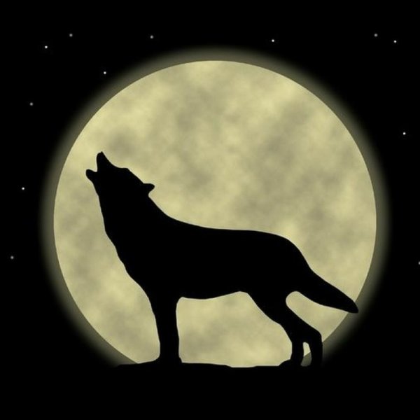 Собака воет на луну