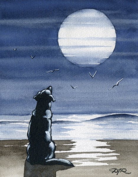 Пес воет на луну