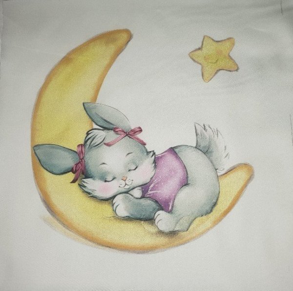 Зайчик на Луне