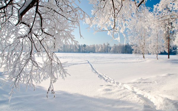 Зимний пейзаж