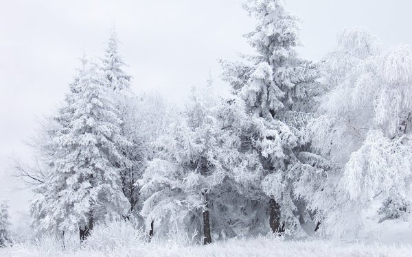 Белоснежная зима