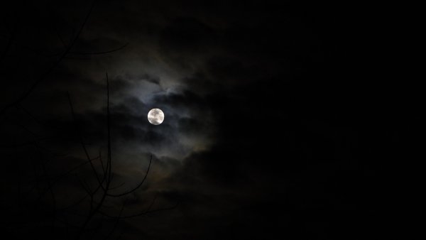 Ночной мрак