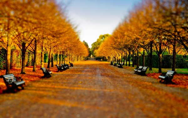 Осень в парке