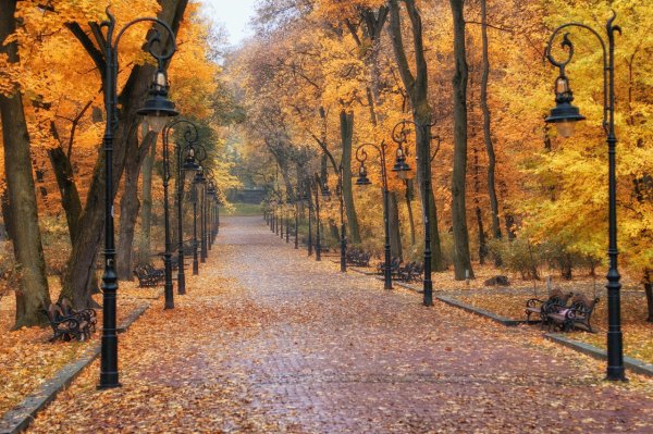 Осень в парке