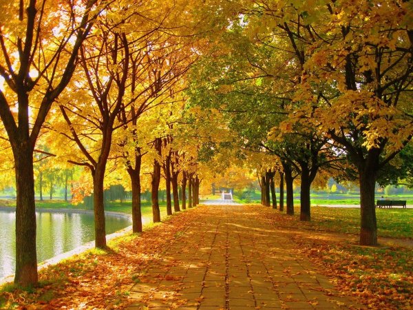 Парк Болдино Золотая осень