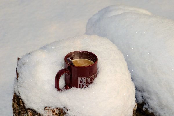 Чашка в снегу