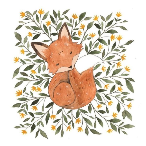 Лиса Пинтерест