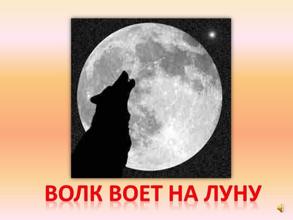 Кот воет на луну