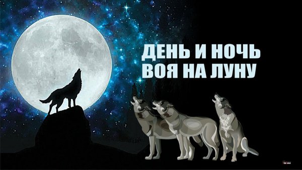 Всемирная ночь воя на луну