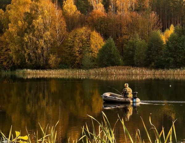 Осенняя рыбалка на озере