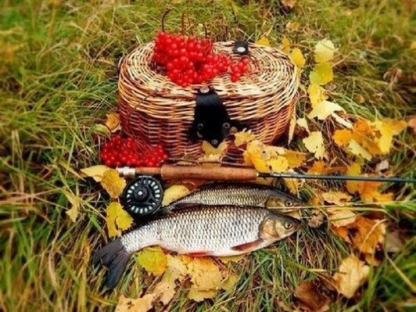Осень рыбалка