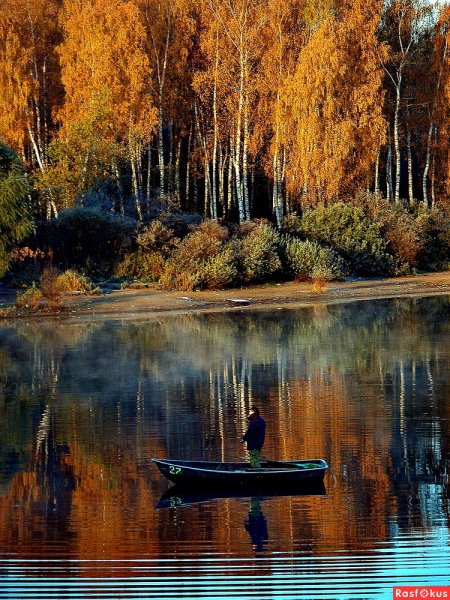 Осень река лодка