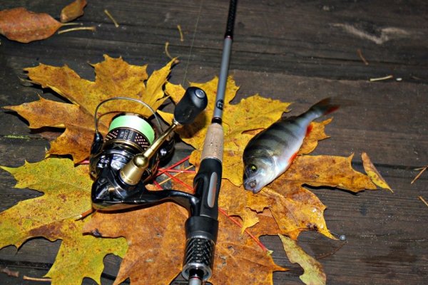 Рыбак осень