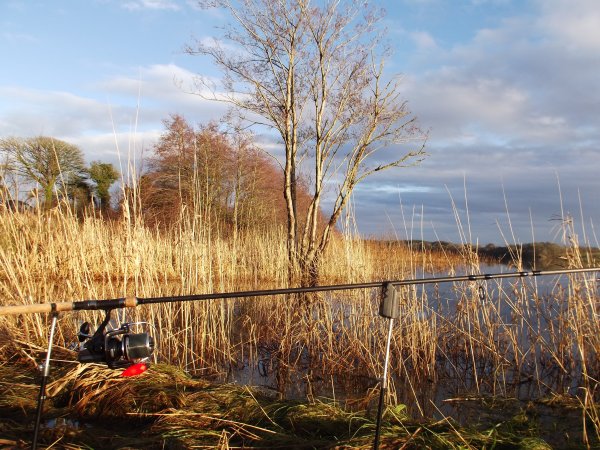 Удочки осенью