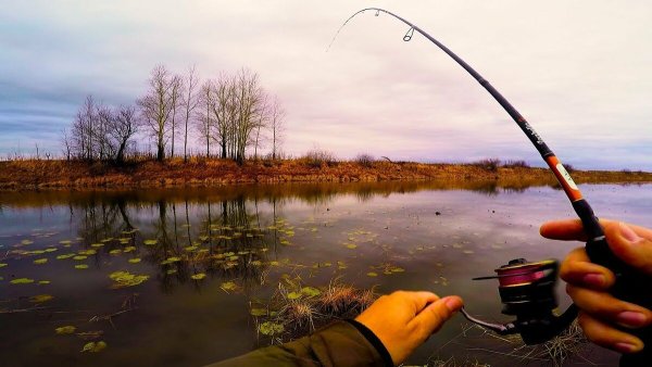 Осень рыбалка