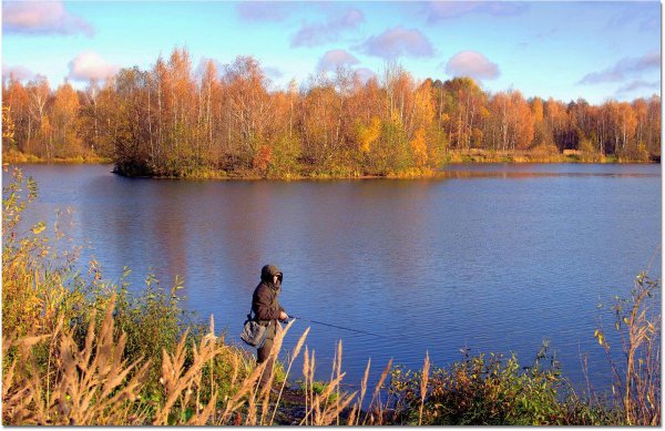 Осеннее утро на рыбалке