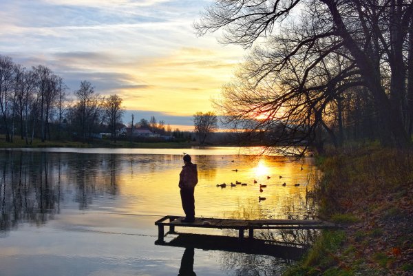 Осеннее утро на пруду
