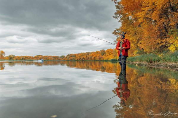 Звено рыбалка осень